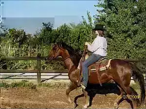 Cavalmaira