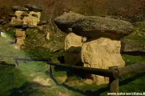 Riserva Naturale Ciciu del Villar - Didattica