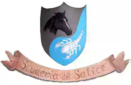 Associazione sportiva dilettantistica scuderia del salice