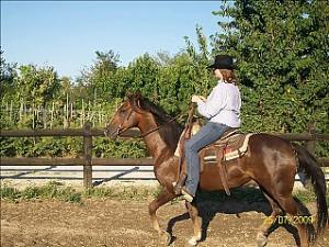 Cavalmaira