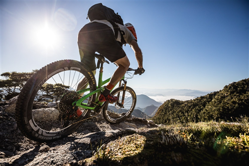 Mountain bike
