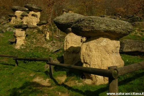 Riserva Naturale Ciciu del ...