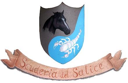 Associazione sportiva dilet...